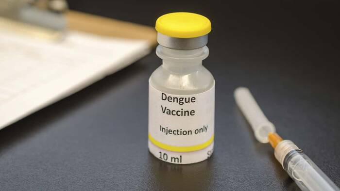 Vacuna contra el dengue: estudian su respuesta inmune en adultos mayores de 60 dengue