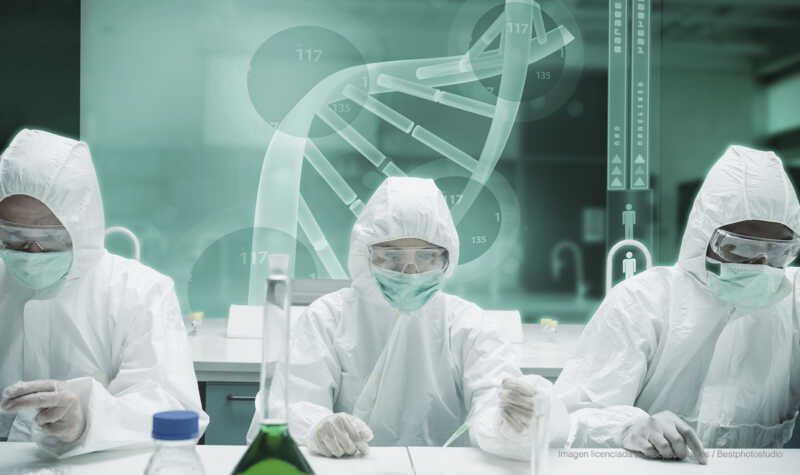 La ciencia argentina se fortalece a partir del trabajo interdisciplinario en laboratorios y centros de investigación. Foto: Binario.