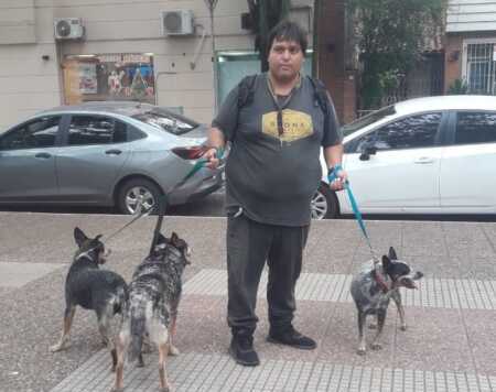 Paseador de perros, un oficio que se mantiene vigente en Posadas: cuánto vale actualmente paseador perros posadas