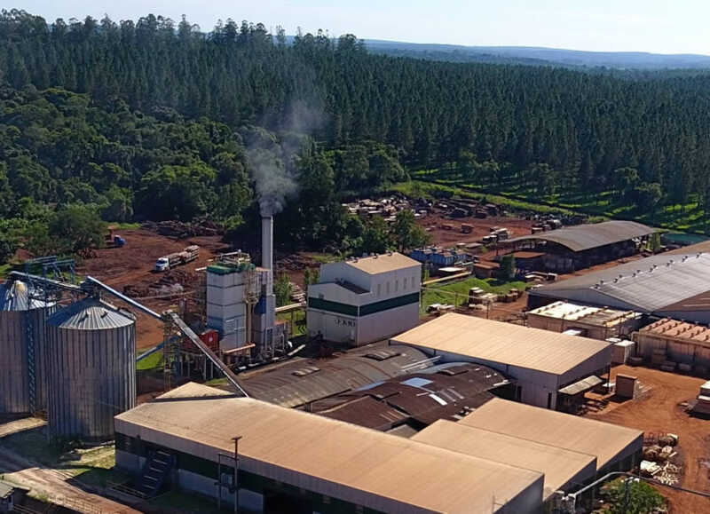 Crisis productiva en Misiones: “Nos estamos comiendo las reservas”, advierten desde Pindó 2 pindo quienes - 1