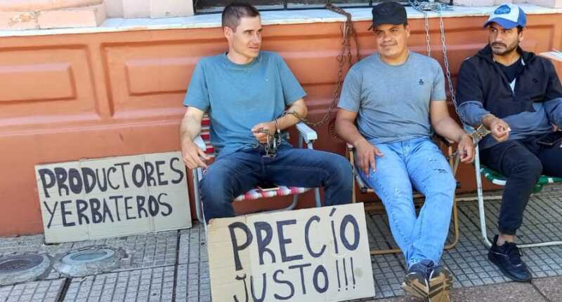 Reclamo de productores yerbateros en Posadas: “Pedimos un precio justo” precio