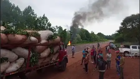 Productores expondrán ante diputados la situación crítica de la cadena yerbatera protestas yerba mate - 1
