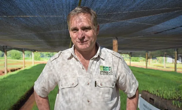 rafael scherer misiones pindo