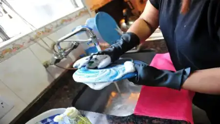 ARCA oficializó el recibo de sueldo digital obligatorio para personal de casas particulares arca