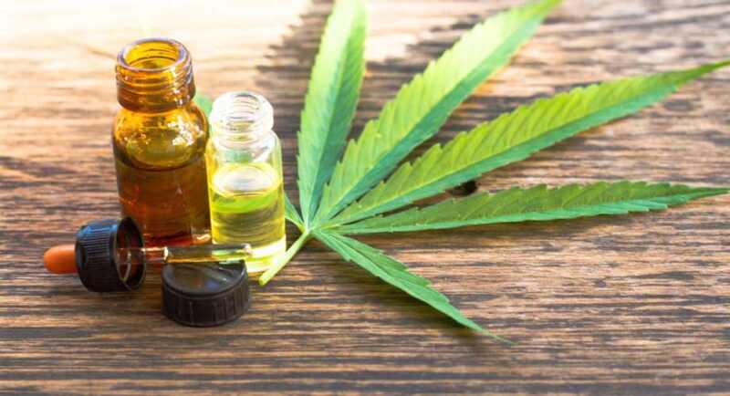 Biofábrica Misiones avanza con la primera cosecha de cannabis medicinal 2 Biofábrica