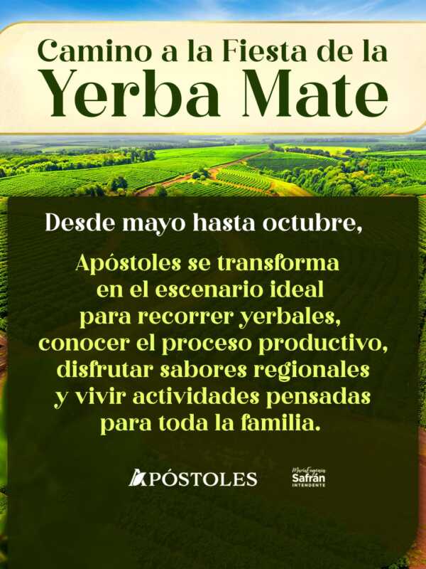 Apóstoles lanzó el “Camino a la Fiesta de la Yerba Mate” con experiencias turísticas, culturales y gastronómicas 3 Experiencias inmersivas para conocer el proceso productivo y el valor cultural de la yerba mate.