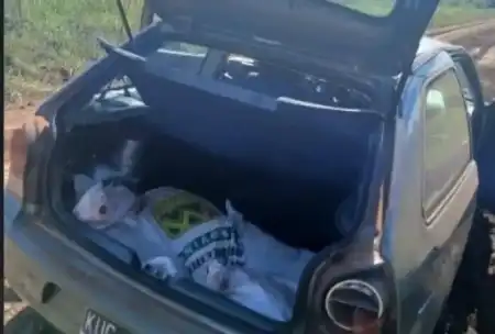 Tres Capones: interceptan a un joven con 180 kilos de carne ilegal en el baúl de su auto Capones