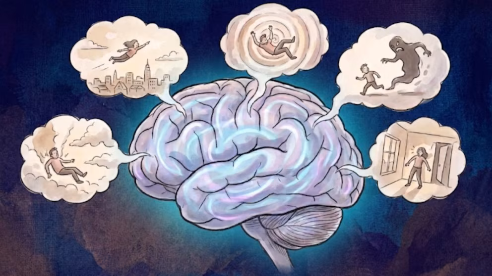 Los 12 sueños más comunes y qué dicen de tus emociones 3 Los sueños que todos tenemos y las emociones detrás
