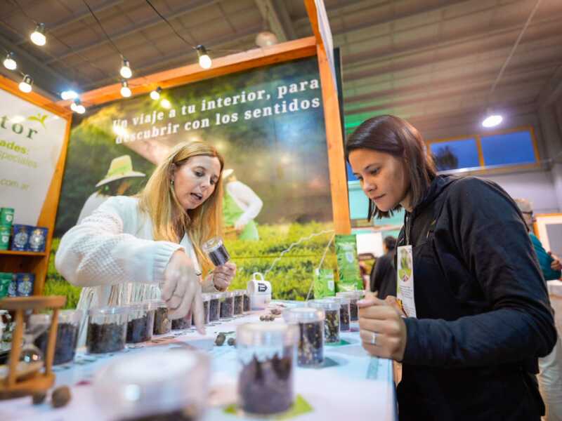 Expo Té Argentina 2026: Posadas vuelve a convertirse en el centro de atención con más de 70 expositores 3 Expo te archivo 1 - 2