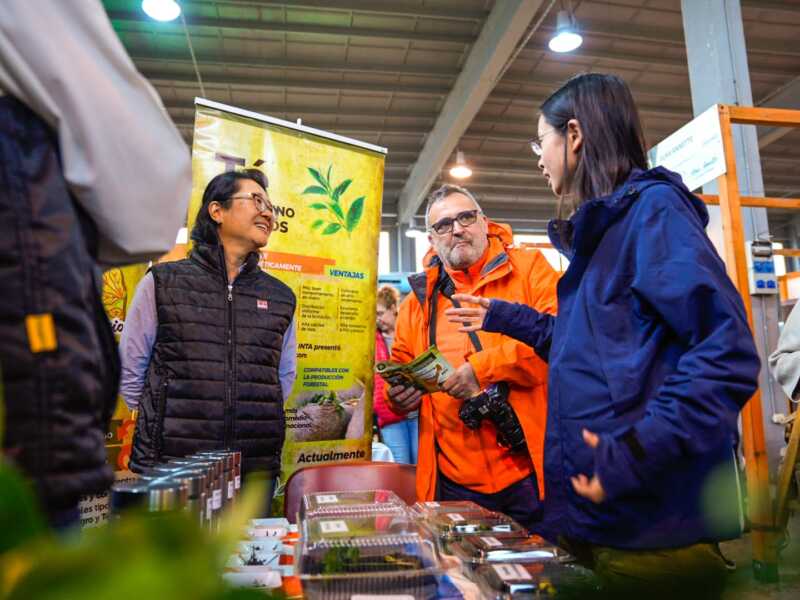 Expo Té Argentina 2026: Posadas vuelve a convertirse en el centro de atención con más de 70 expositores 5 Expo te archivo 2 - 4