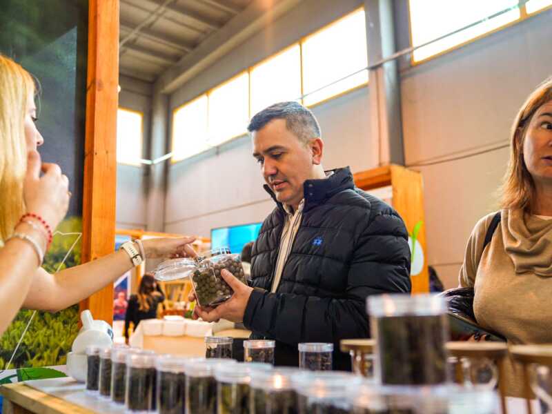 Expo Té Argentina 2026: Posadas vuelve a convertirse en el centro de atención con más de 70 expositores 7 Expo te archivo 4 - 6