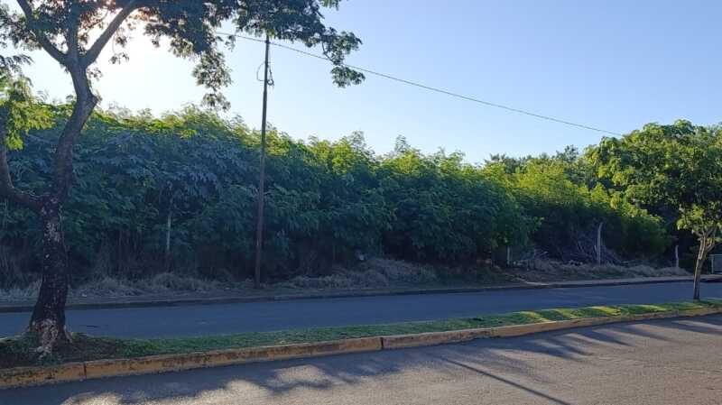Creciente inseguridad alarma a vecinos de la Chacra 245: “Los delincuentes caminan por los techos” 1 inseguridad