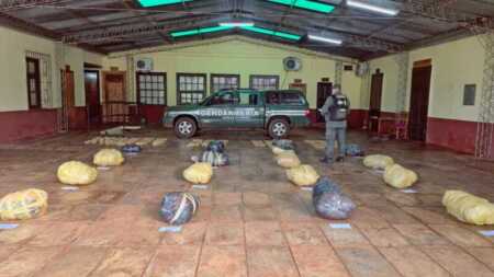 Gendarmes incautaron cargamento de marihuana en Colonia Victoria marihuana