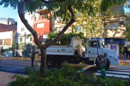 Posadas intensifica el operativo de poda en barrios de toda la ciudad Posadas