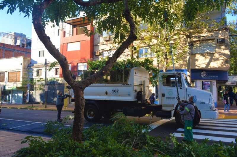 Posadas intensifica el operativo de poda en barrios de toda la ciudad Posadas