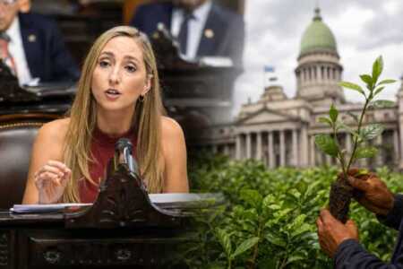 La diputada Julia Strada vinculó la crisis yerbatera con la necesidad de construir acuerdos políticos en el Congreso para restituir las facultades del INYM.
