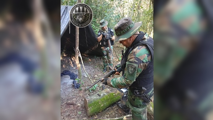 campamento cazadores furtivos