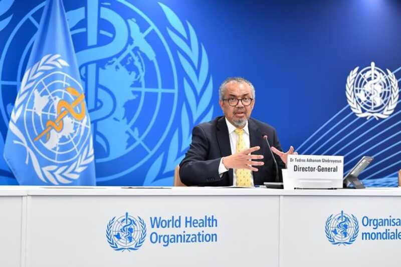 La OMS confirmó once casos positivos por hantavirus vinculados al crucero MV Hondius OMS Hantavirus