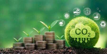 Rojas Decut impulsó una ley de mercados de carbono y destacó el potencial de Misiones: “Estamos ante una nueva economía global” Rojas decut proyecto ley mercado de carbonos