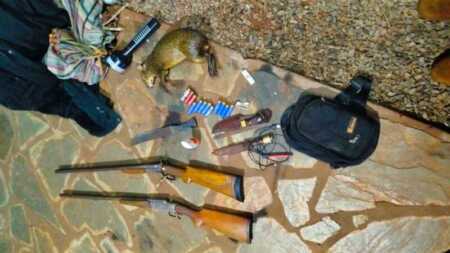 Guardaparques frustraron un caso de caza furtiva en Puerto Península
