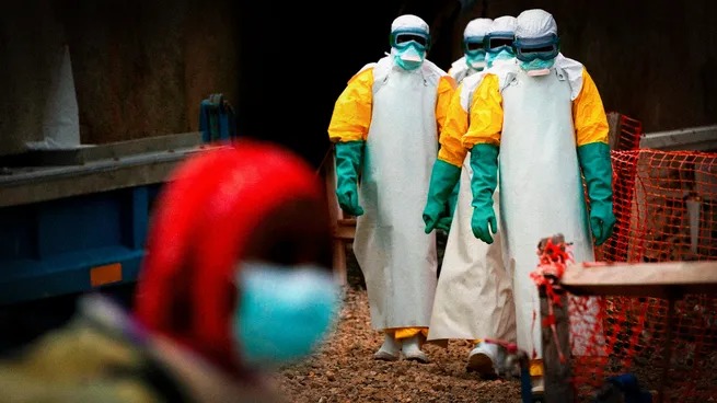 Alerta sanitaria: detectaron tres buques provenientes de zonas afectadas por ébola rumbo a la Argentina ébola