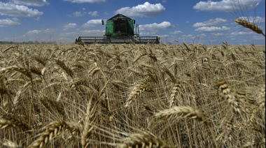 Las exportaciones agroindustriales crecieron 16,2% y superaron los USD 16.800 millones en 2026 1 agro