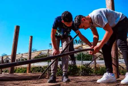 Desde junio entra en vigencia Ahora Chacra con reintegros para productores agropecuarios ahora