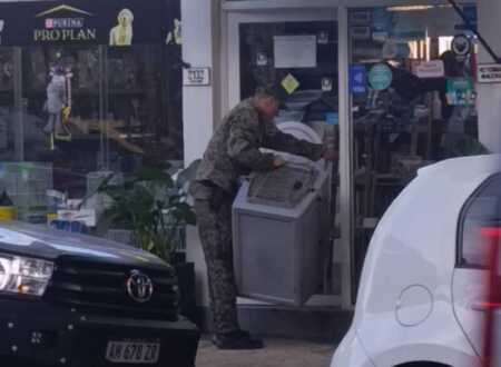 Allanaron una reconocida veterinaria de Posadas por fauna silvestre ilegal veterinaria Posadas allanamiento