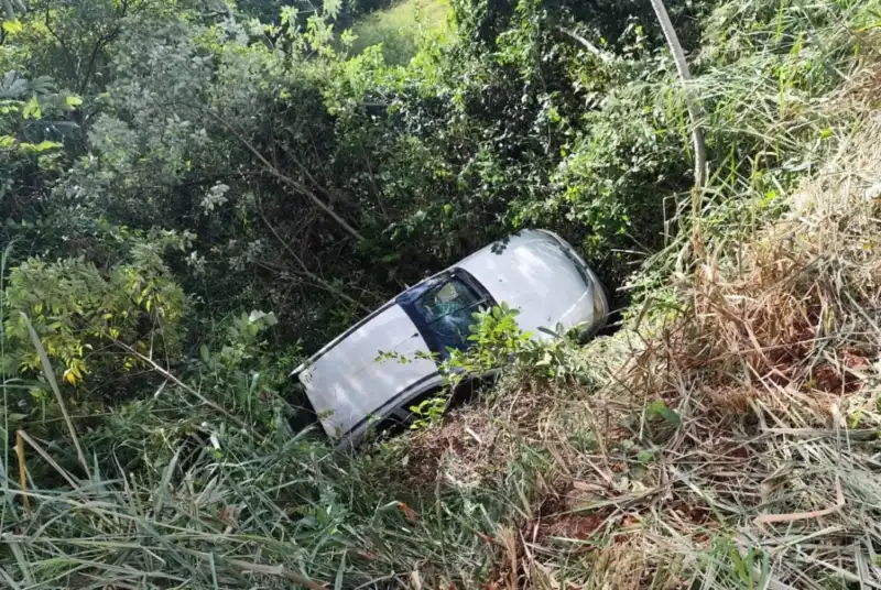 Tomaba mate y su auto terminó en un barranco auto
