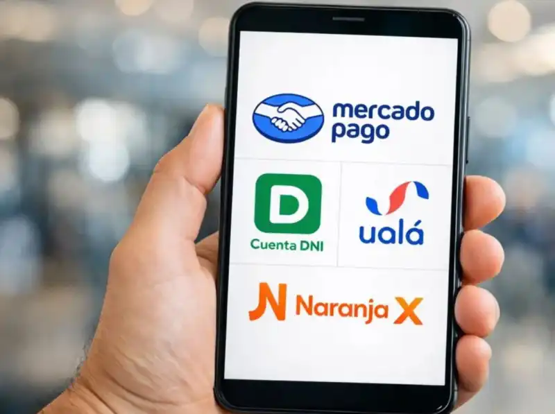 “La morosidad en billeteras virtuales supera el 30%”: alarma por el endeudamiento en el NEA nea morosidad billeteras