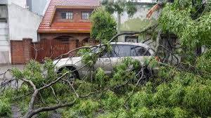Daños por temporales: cuándo responde el municipio y cuándo el frentista 6 images - 5