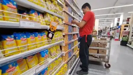Inflación de abril: prevén desaceleración al 2,5% en Argentina inflación