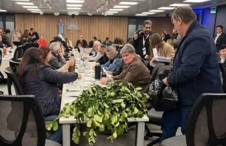 Radio Up en Diputados: “Los yerbateros ya no quieren ser escuchados, quieren respuestas” exposición yerbatera