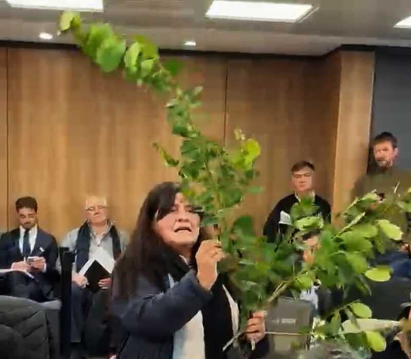 Ana Cubilla expuso la situación de los tareferos antes de la reunión clave en el Congreso por la yerba mate.