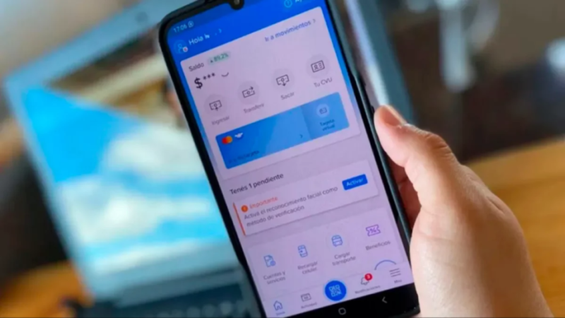 Misiones elimina las retenciones de Ingresos Brutos a billeteras virtuales: “Los fondos van a llegar completos al usuario” 3 mora billeteras virtuales - 2