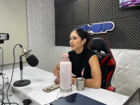 Cuota fija y exención de retenciones: claves del proyecto de monotributo provincial en Misiones Misiones monotributo