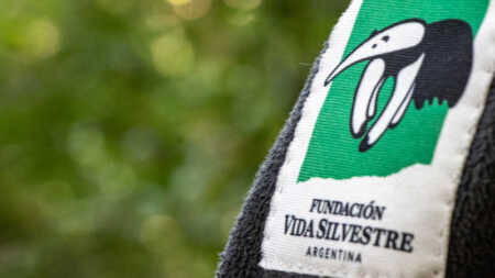 El director ejecutivo de Fundación Vida Silvestre cuestionó la reforma de la Ley de Glaciares, advirtió sobre el avance extractivista y alertó por el debilitamiento de las políticas ambientales en Argentina.