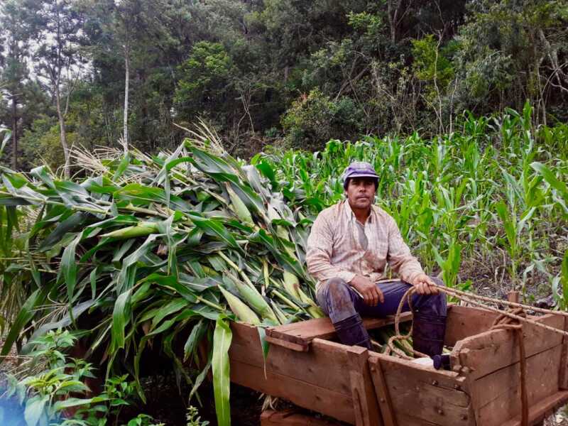 3. Nuevas familias de colonos se mudaron a viviendas rurales construidas por el IPRODHA - 1