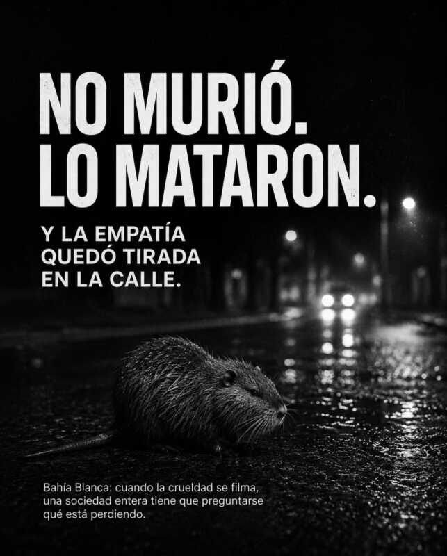 Un video viral expuso un brutal caso de maltrato animal en Bahía Blanca 3 Maltrato animal: Mataron a un coipo en plena calle y el video provocó una ola de indignación