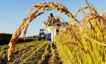 Agro