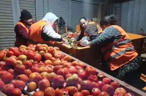 Red Alimendar ya recuperó más de 10 mil kilos de alimentos en lo que va del 2026 Alimendar