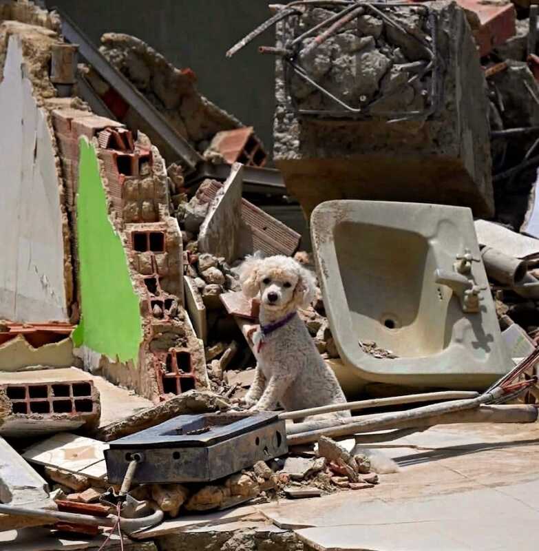 Venezuela: ascienden a 920 los muertos y más de 3.300 los heridos por los terremotos 5 HLvsYAmXUAAkp j - 4