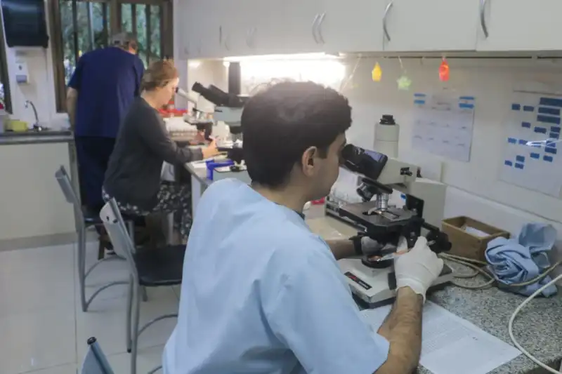 Misiones Oncolog cancer