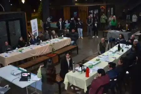 Presupuesto Vecino