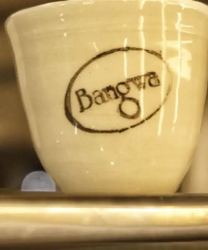 Desde Apóstoles, Bangwa Café impulsa una nueva cultura cafetera en Misiones 6 SaveClip.App 671205306 17864677848674417 5952337856590418947 n - 5