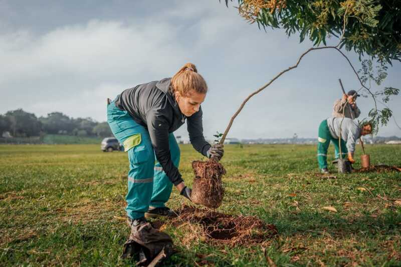 Stelatto: “La decisión de cuidar el ambiente es un proyecto de muchos años” Stelatto