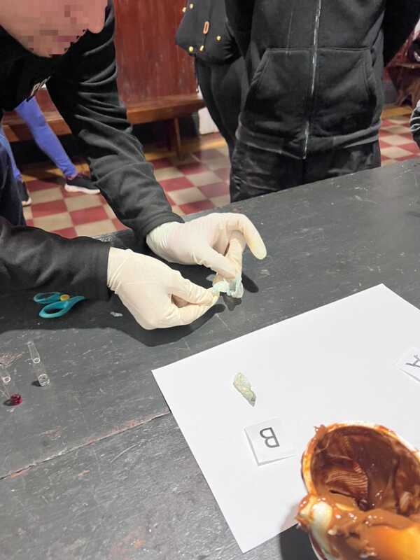 Intentó ingresar cocaína oculta en un pote de dulce de leche para dos detenidos y fue descubierta 3 cocaina