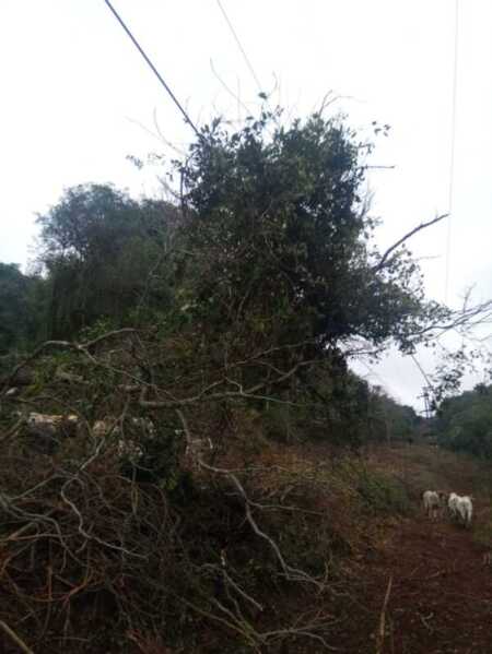 Restablecieron el servicio eléctrico en la zona centro tras reparar la línea de 132 kV dañada WhatsApp Image 2026 06 10 at 18.05.26 - 6