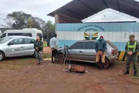 Detuvieron a dos cazadores furtivos dentro del Parque Provincial Urugua-í Detuvieron cazadores furtivos Parque Provincial Urugua-í