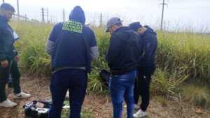 Secuestraron más de medio kilo de marihuana valuada en casi tres millones de pesos durante un operativo en Posadas Secuestraron más de medio kilo de marihuana en Posadas